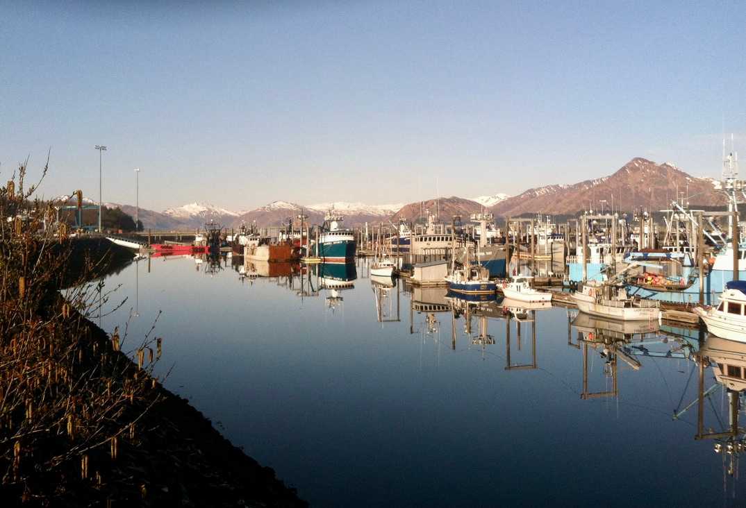 Kodiak Harbor